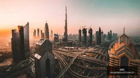 2026下半年最强寒潮预警熊猫全站服务：初冬般的低温来袭，应对指南